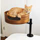 Elevated Workstation Cat Beds Image 2