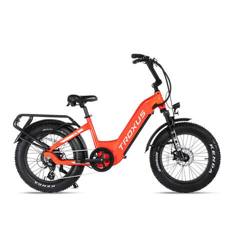 Fat-Tire Cargo Rack Bikes