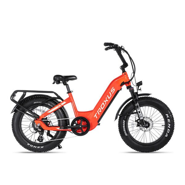 Fat-Tire Cargo Rack Bikes