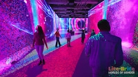 Nostalgic Light Installations