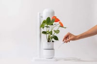 Self-Watering Multifunctional Planters Image 1