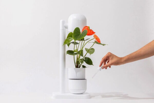 Self-Watering Multifunctional Planters