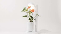 Self-Watering Multifunctional Planters Image 3