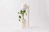 Self-Watering Multifunctional Planters Image 4