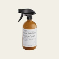 Food-Safe Pest Control Sprays