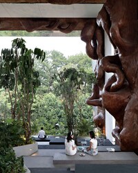 Mirrored Panel Tropical Gardens Image 4