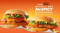 Spicy Chicken Thigh Sandwiches Image 1