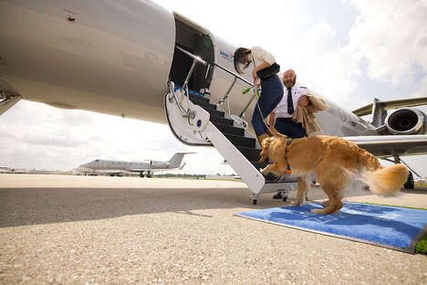 Dog-Friendly Airlines