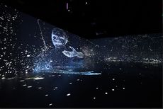 Immersive Earth Month Exhibitions Article Thubnail