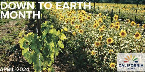 Climate-Conscious Wine Campaigns