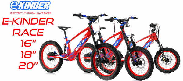 Easy-to-Balance Youth E-Bikes