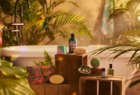 Multi-Sensory CBD Bodycare Image 1