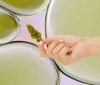 High-Quality Medical Cannabis Products Image 3