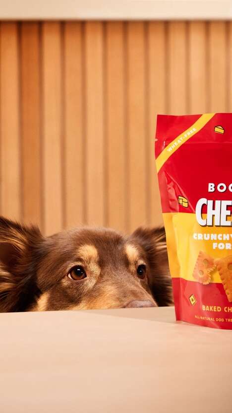 Cheese-Infused Dog Treats