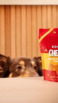 Cheese-Infused Dog Treats Image 1