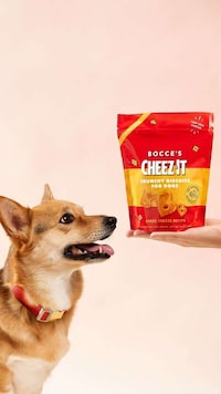 Cheese-Infused Dog Treats Image 2