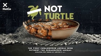 Plant-Based Turtle Soups
