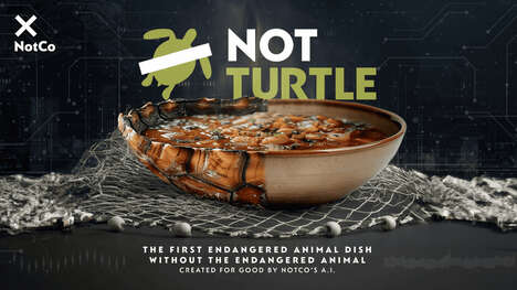 Plant-Based Turtle Soups