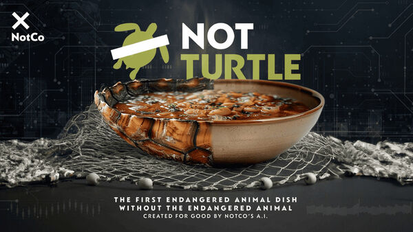 Plant-Based Turtle Soups