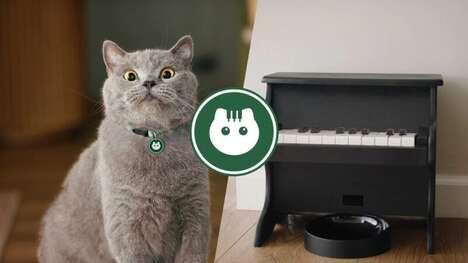 Musical Instrument Pet Feeders