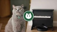 Musical Instrument Pet Feeders Image 1