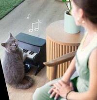 Musical Instrument Pet Feeders Image 2