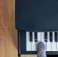 Musical Instrument Pet Feeders Image 5