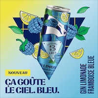 Blue Raspberry Gin Lemonades