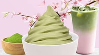 Seasonal Frozen Yogurt Menus