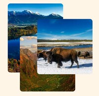 Tech-Enhanced Travel Planning Image 1