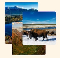 Tech-Enhanced Travel Planning