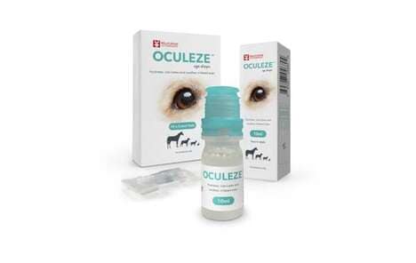 Pet-Focused Eye Lubricants