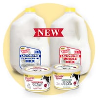 Lactose-Free Dairy Lines