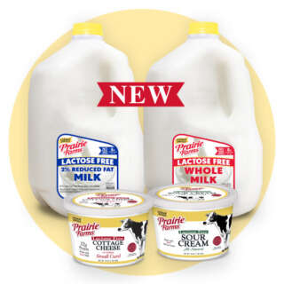 Lactose-Free Dairy Lines