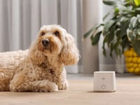 AI-Powered WiFi Security Systems Image 6