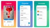 Colour Palette-Capturing Apps Image 1