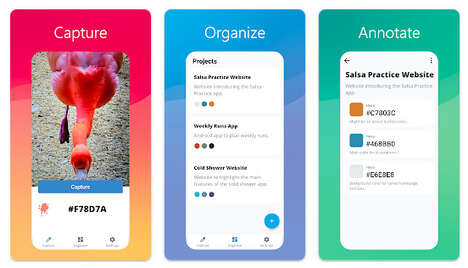 Colour Palette-Capturing Apps