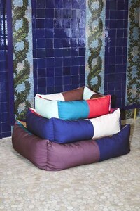 Colorful Dog Bed Collections Image 1