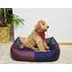 Colorful Dog Bed Collections Image 2
