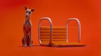 Motorcycle-Friendly Pet Carriers Image 4