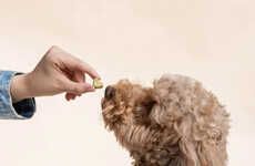 Synbiotic Dog Supplements