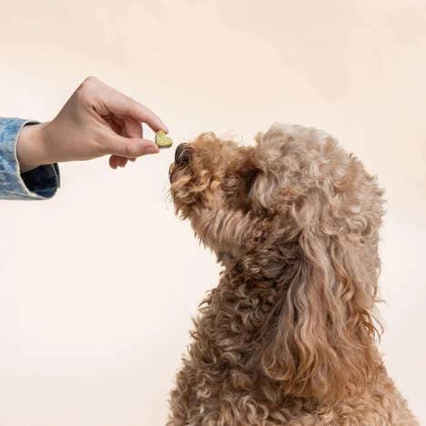 Synbiotic Dog Supplements
