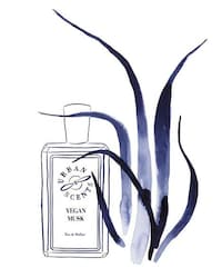 Vegetal Musk Fragrances
