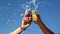 Non-Alcoholic Fruit Seltzers Image 1