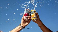 Non-Alcoholic Fruit Seltzers