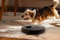 Holistic Home Cleaning Robots Image 6