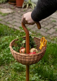 Empowering Walking Sticks Image 1