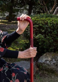 Empowering Walking Sticks Image 3