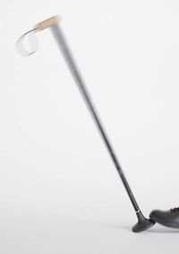 Empowering Walking Sticks Image 8