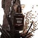 Seductive Vanilla-based Fragrances Image 1